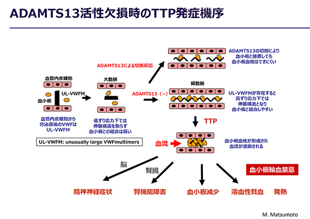 原発性血小板血症はどのように予防および治療されますか?